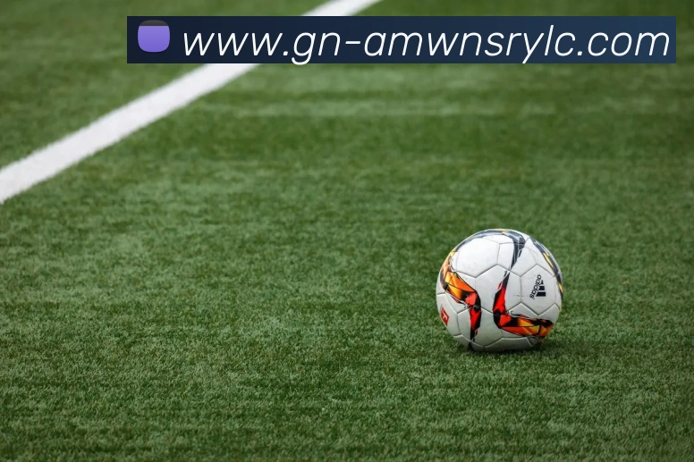 威尼斯人线上娱乐APP 体育赛事宣传图